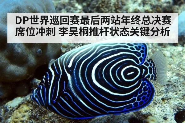DP世界巡回赛最后两站年终总决赛席位冲刺 李昊桐推杆状态关键分析